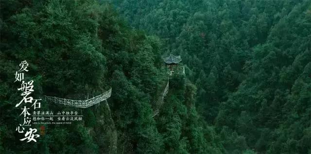 加入姜昆与郭德纲如此不合,是因为背后隐藏了什么故事吗?知识星球,拓展学习新视野